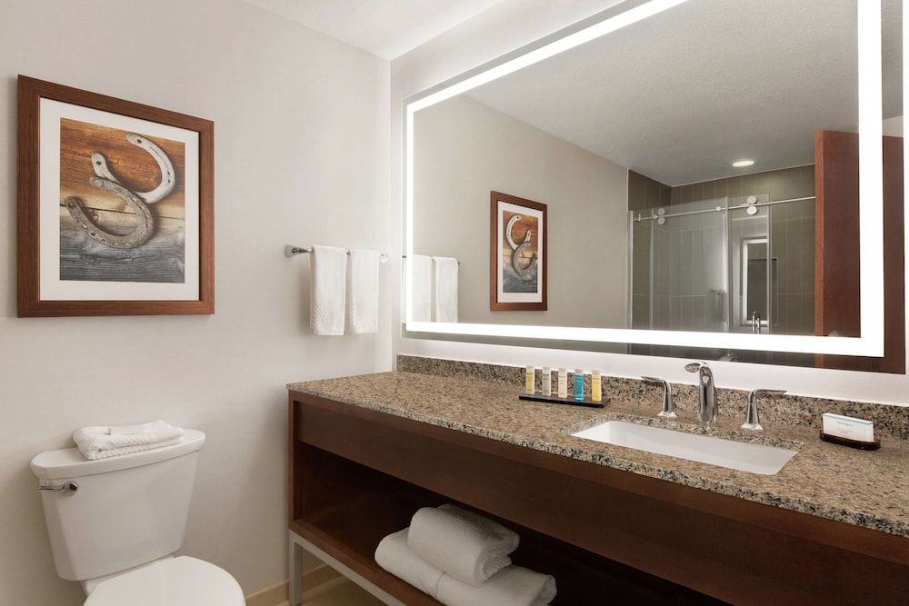 embassy suites by hilton dallas dfw airport north