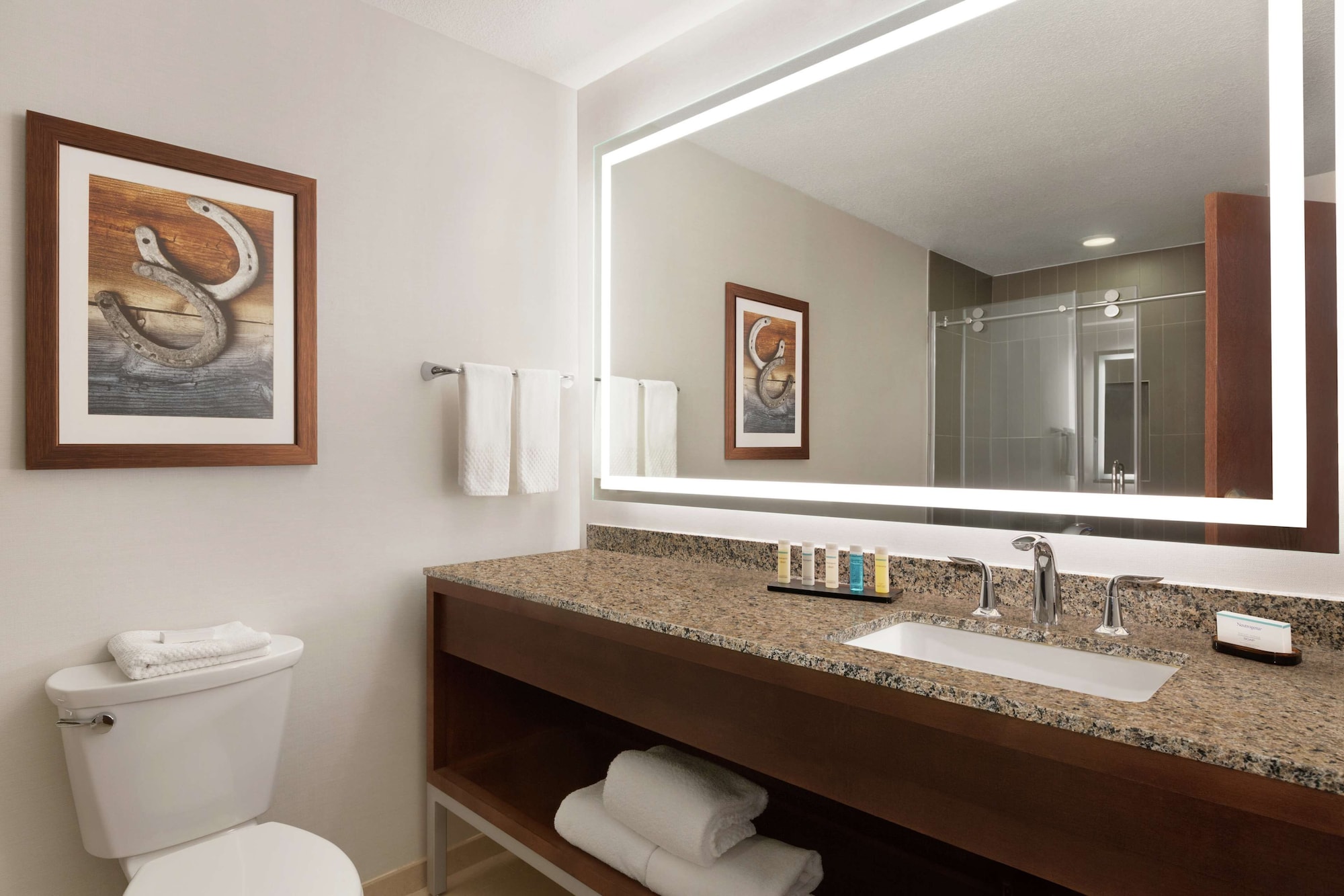 embassy suites by hilton dallas dfw airport north
