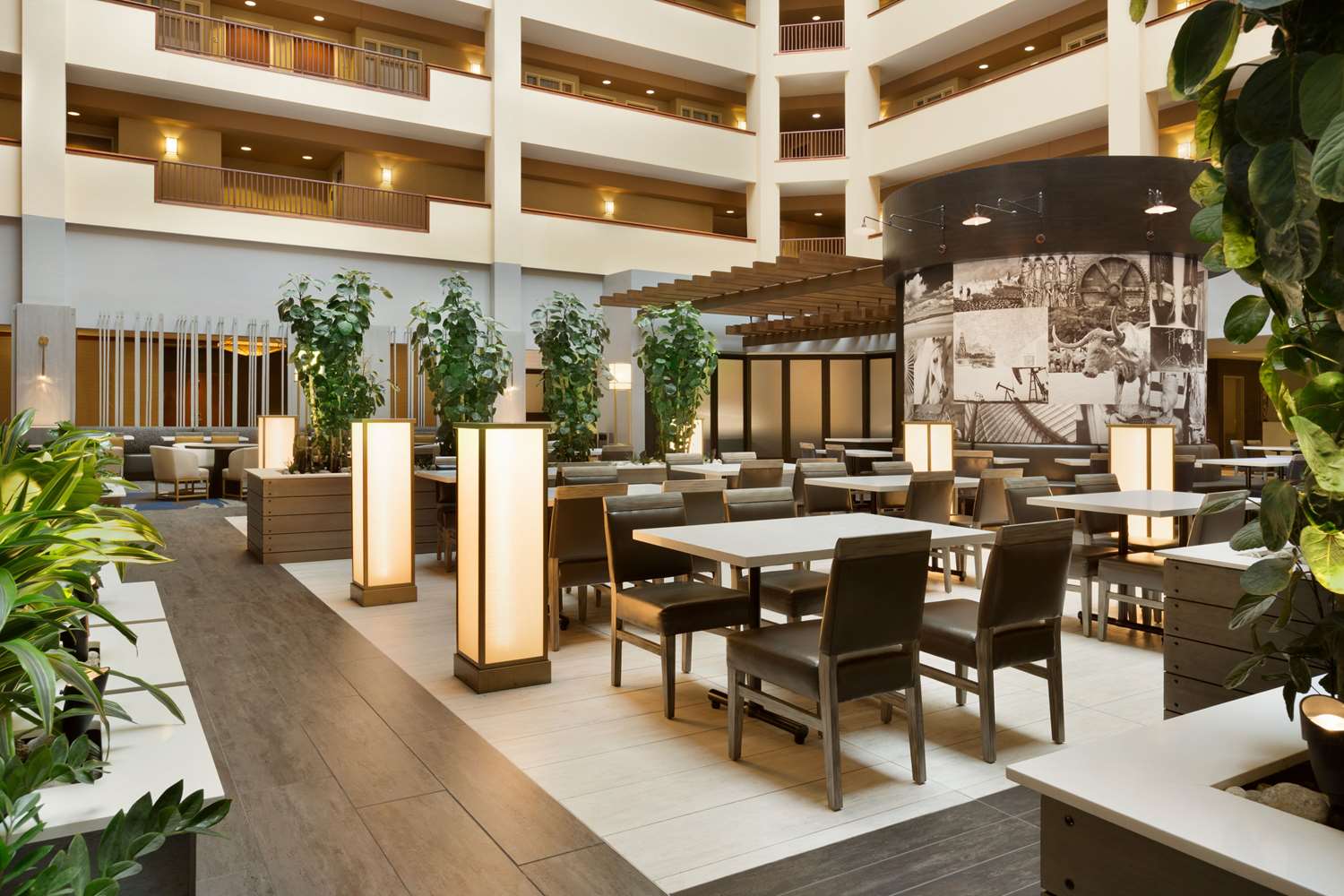 embassy suites by hilton dallas dfw airport north