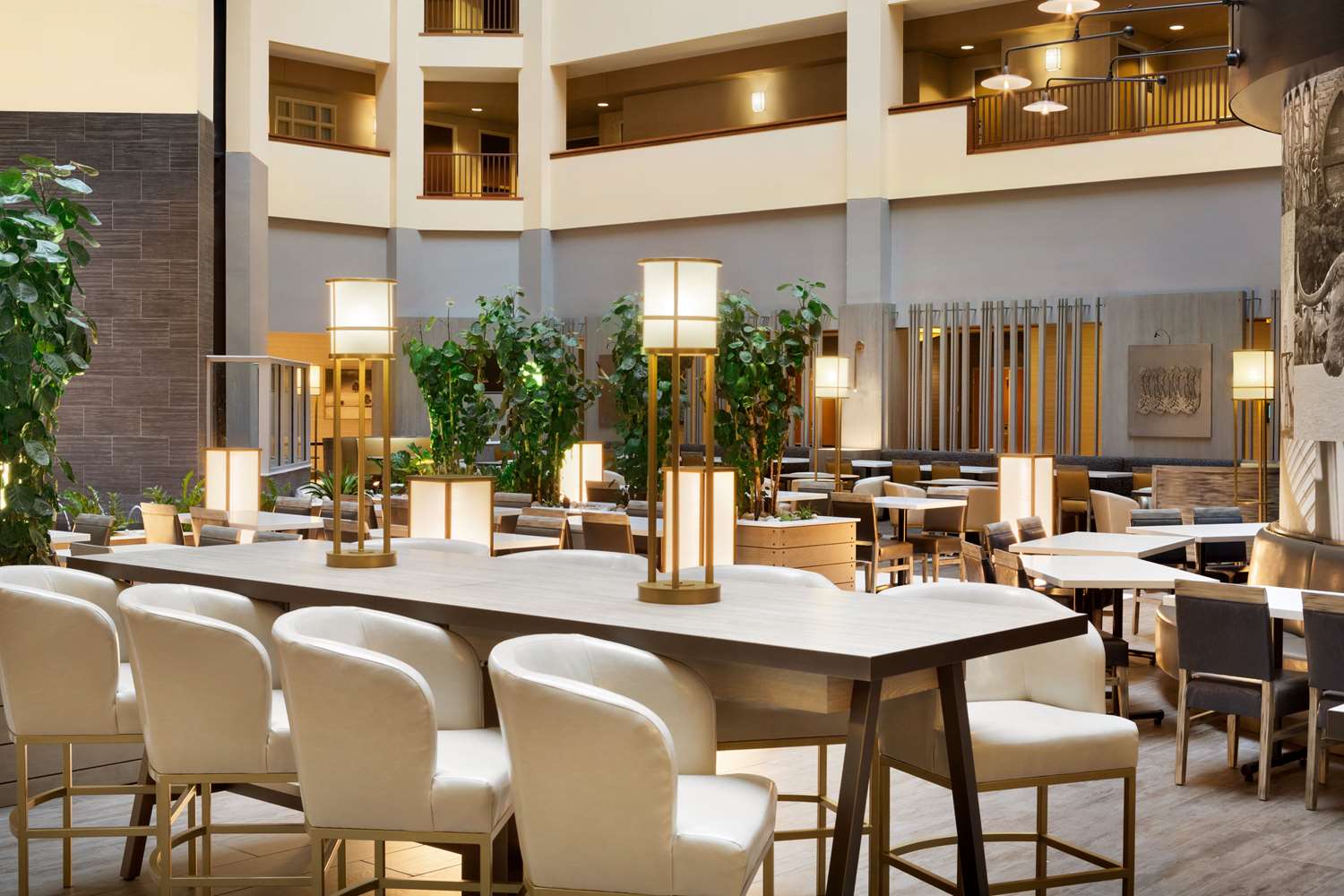 embassy suites by hilton dallas dfw airport north