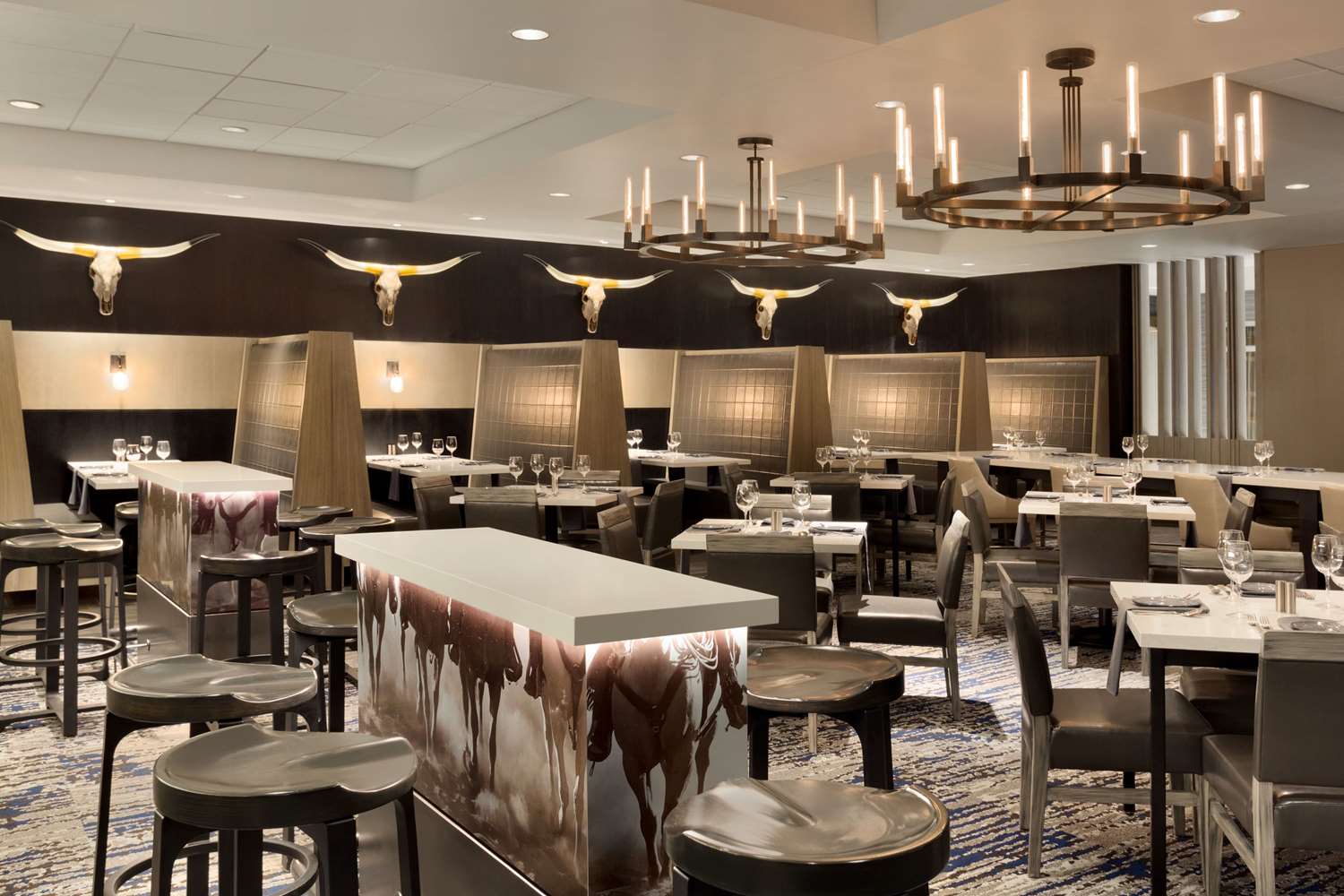 embassy suites by hilton dallas dfw airport north