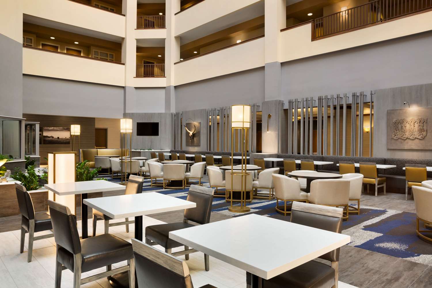 embassy suites by hilton dallas dfw airport north