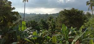 sunrise home stay