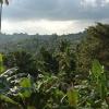sunrise home stay
