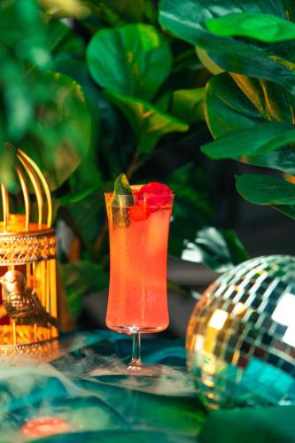 hotel bhagyaraj palace best hotel in kanpur