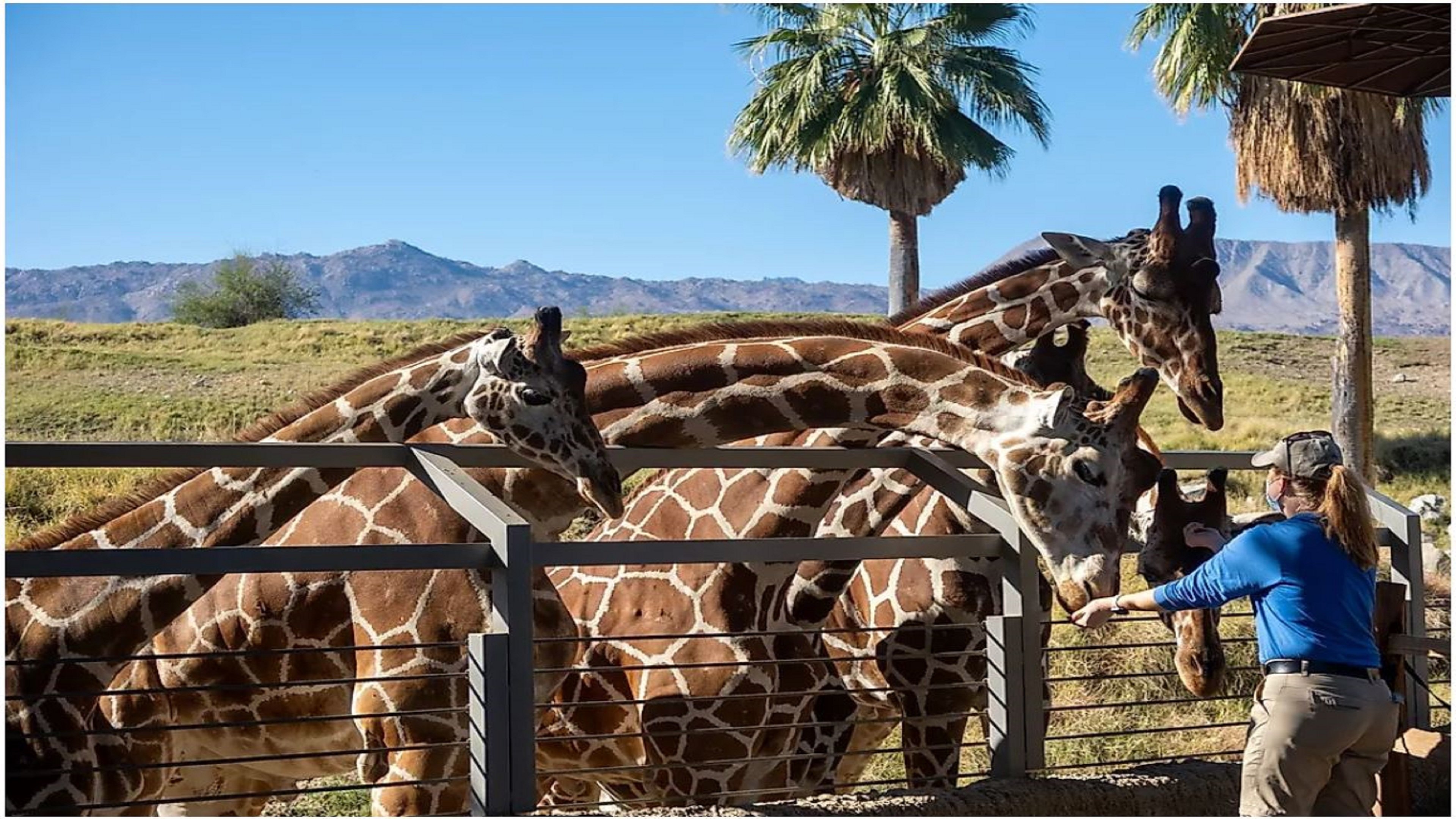 holiday inn express palm desert by ihg