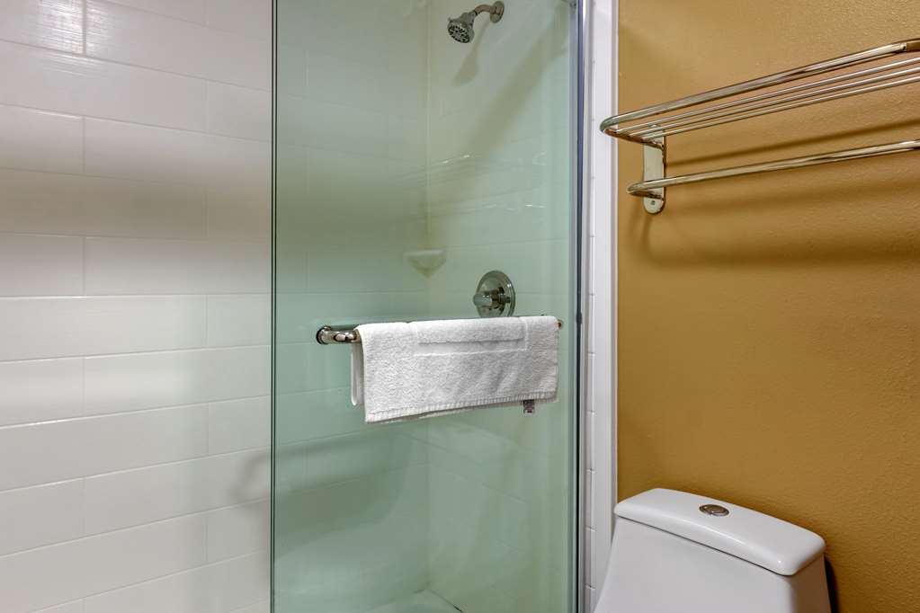 quality inn and suites pawleys island