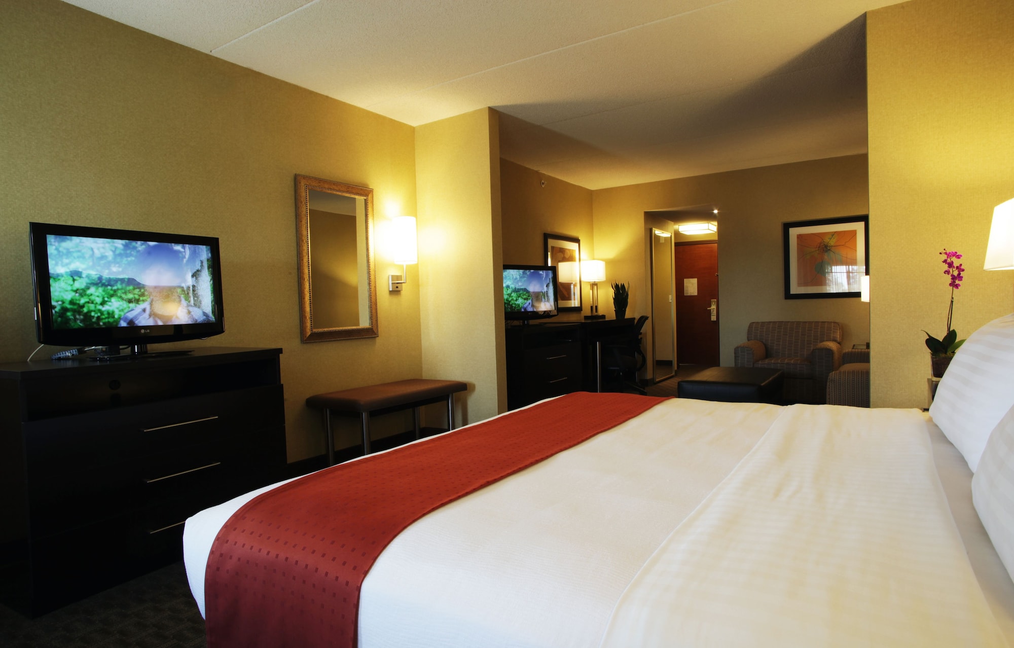 holiday inn phoenix chandler by ihg