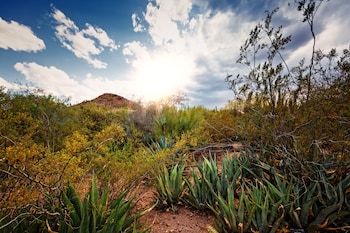 Crowne Plaza Phoenix Airport - Phx By Ihg,Camelback East>>Arizona,4 star