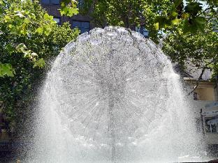 the bayswater sydney