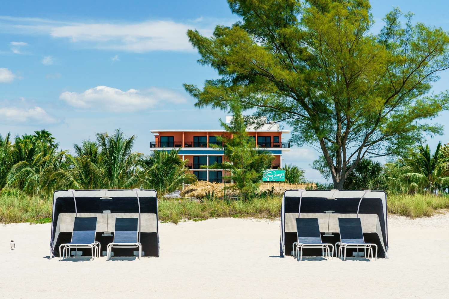 hilton garden inn st pete beach