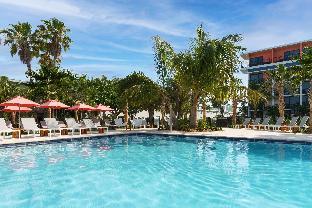 hilton garden inn st pete beach
