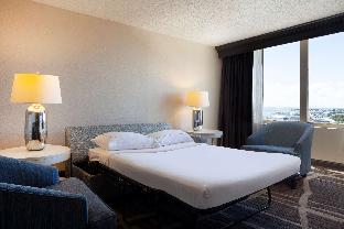 hilton st petersburg bayfront