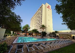 hilton st petersburg bayfront