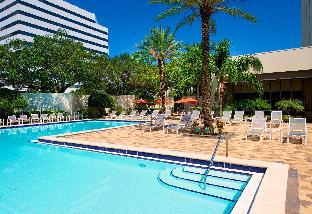 hilton st petersburg bayfront