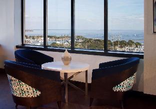 hilton st petersburg bayfront
