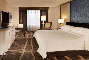 hilton st petersburg bayfront