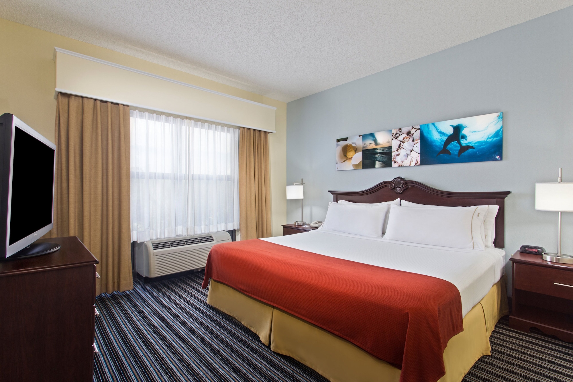 holiday inn express hotel and suites clearwater north dunedin by ihg