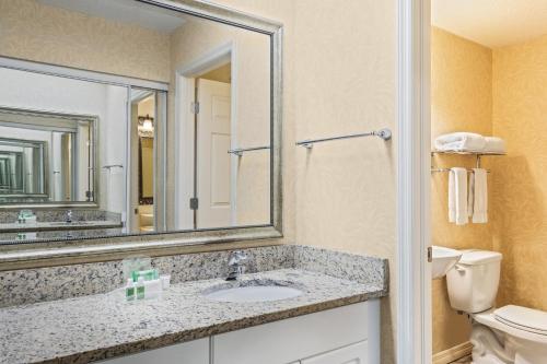 holiday inn and suites clearwater beach s harbourside by ihg