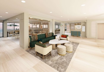 doubletree beach resort by hilton tampa bay north redingto