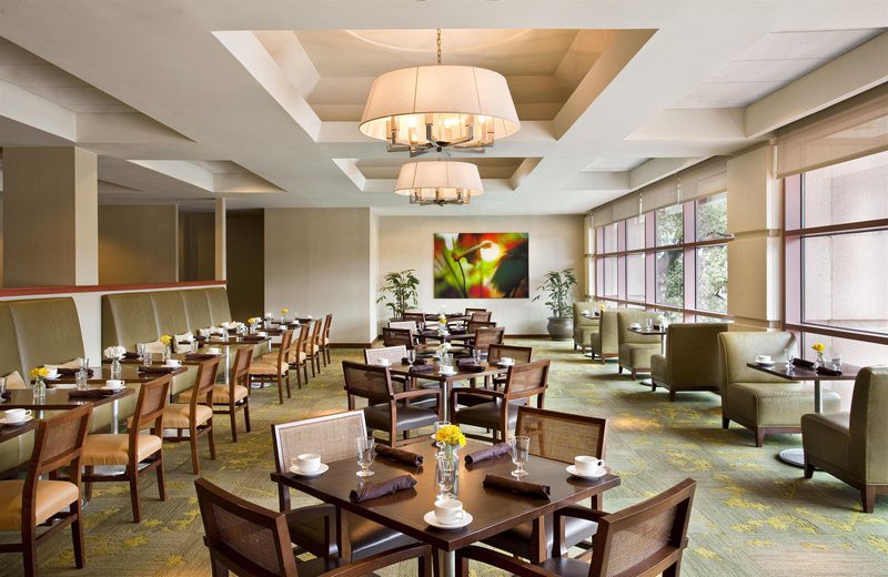 downright austin a renaissance hotel