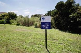 sonesta simply suites austin the domain area