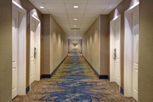 homewood suites by hilton houston iah airport beltway 8