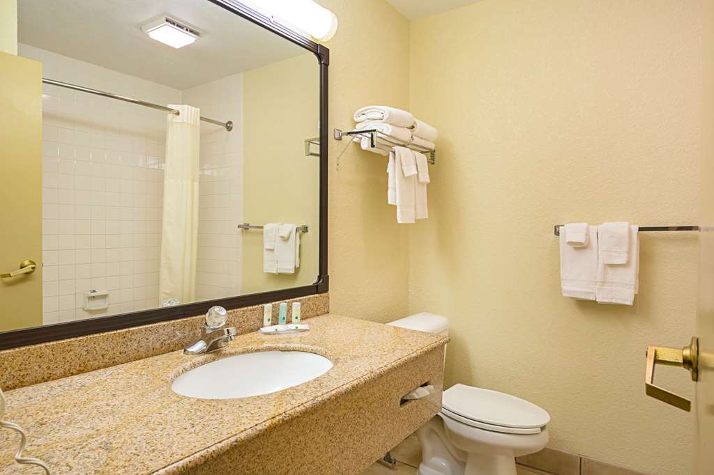 quality inn and suites nrg park medical center
