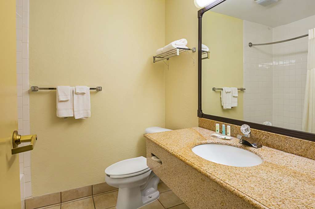 quality inn and suites nrg park medical center