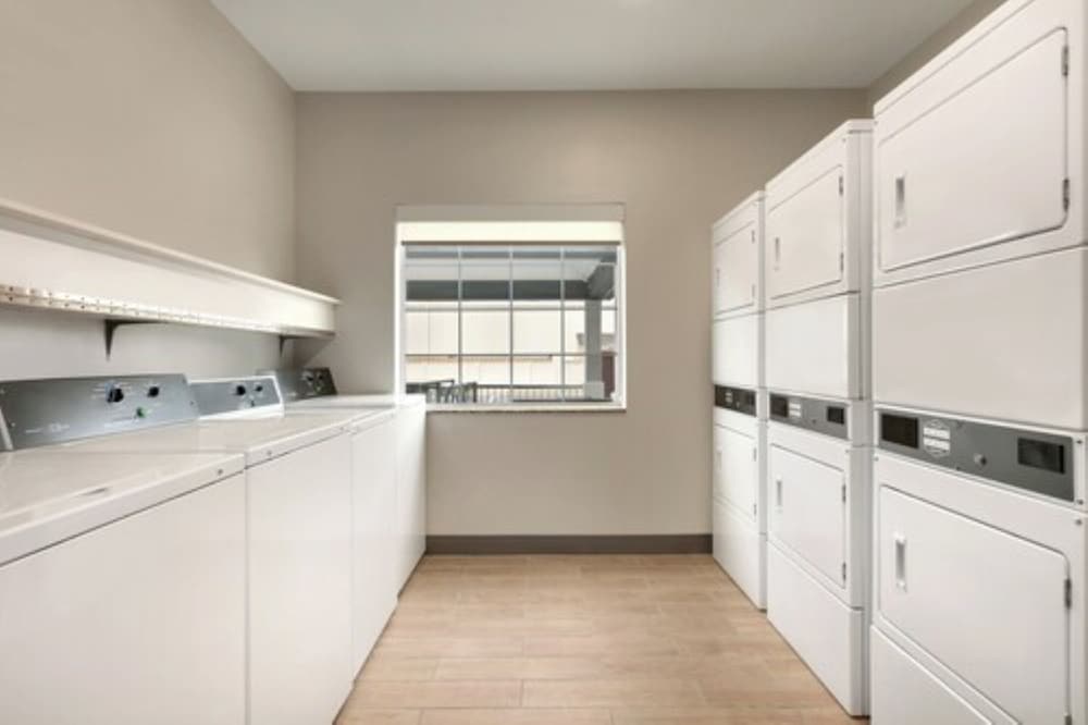 lonestar suites