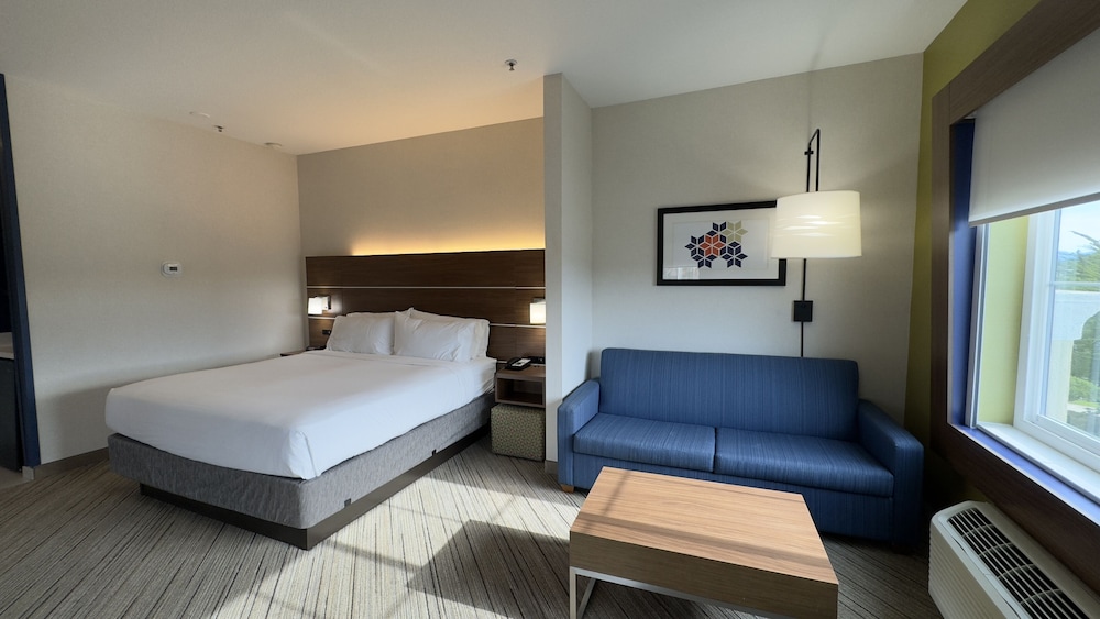 holiday inn express and suites marina state beach area