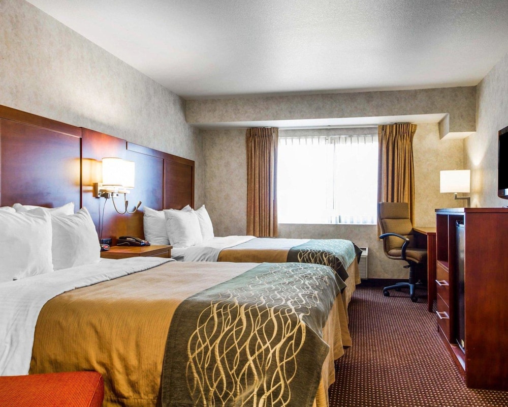 comfort inn watsonville