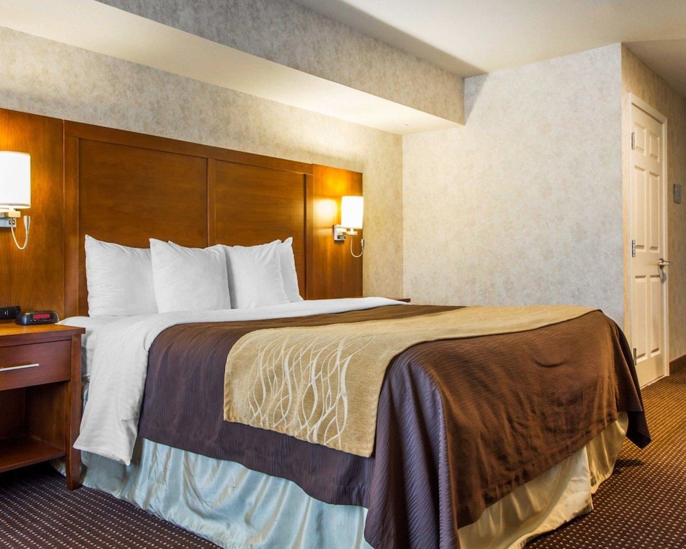 comfort inn watsonville