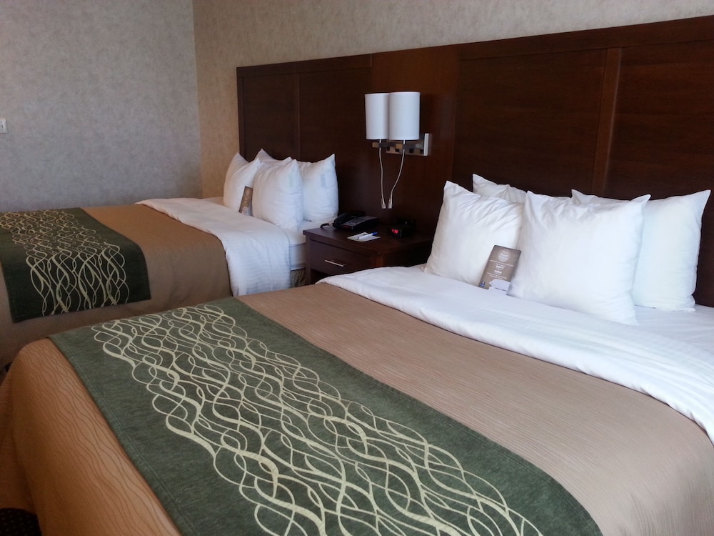comfort inn watsonville