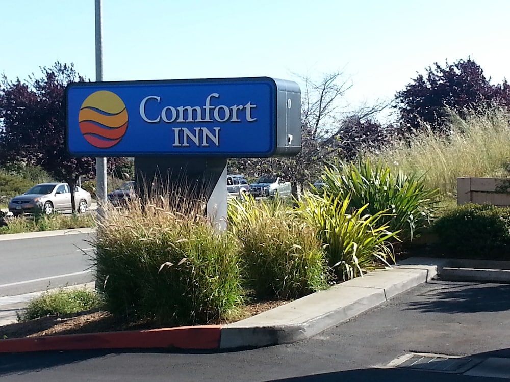 comfort inn watsonville