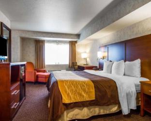 comfort inn watsonville