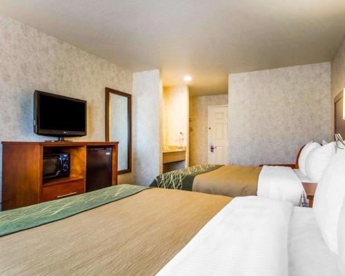 comfort inn watsonville