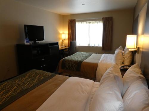 comfort inn watsonville