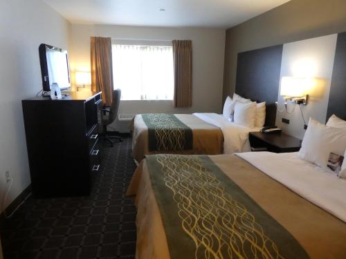 comfort inn watsonville