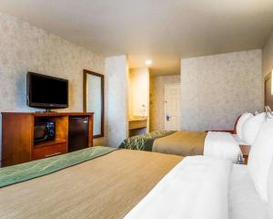 comfort inn watsonville
