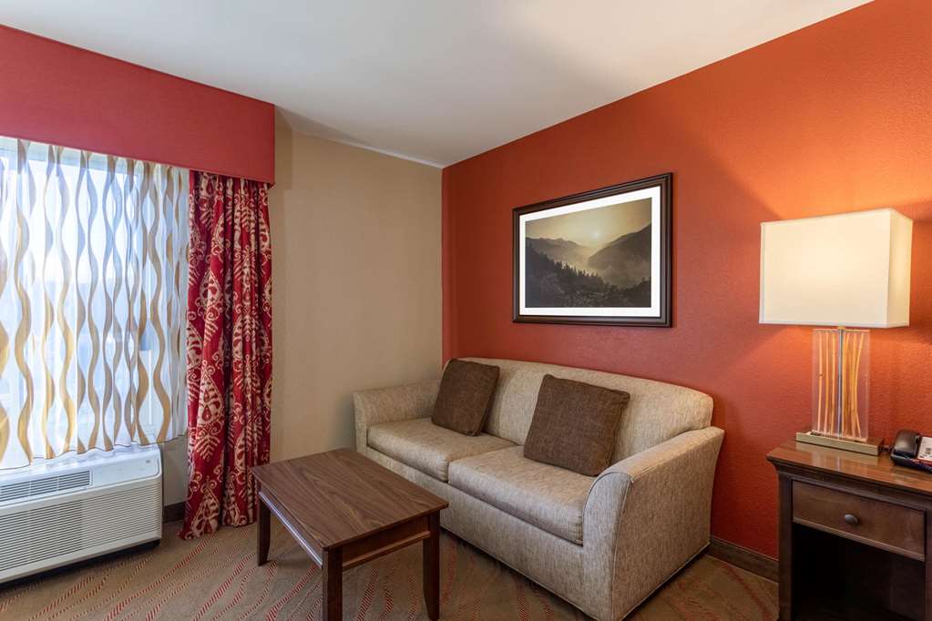 la quinta inn and suites by wyndham pigeon forge