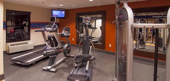 hampton inn and suites tampa north