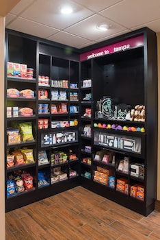 hampton inn and suites tampa north