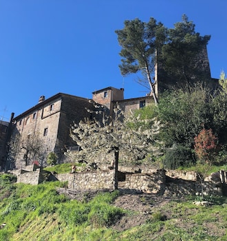 todi