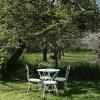 lemon tree boutique guest house