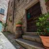 lemon tree boutique guest house