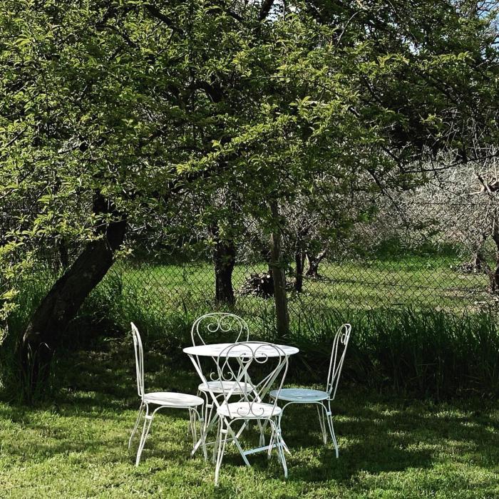 lemon tree boutique guest house