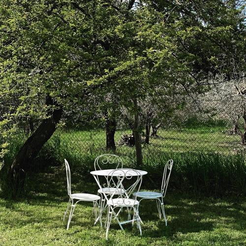 lemon tree boutique guest house