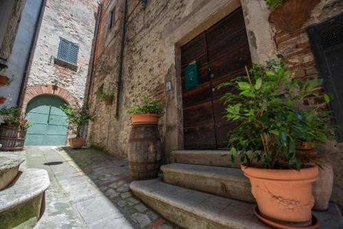 lemon tree boutique guest house