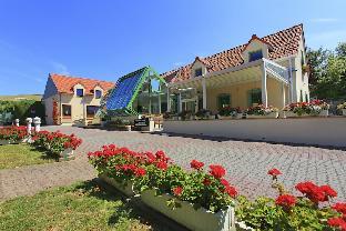 hotel lescale piscine and spa